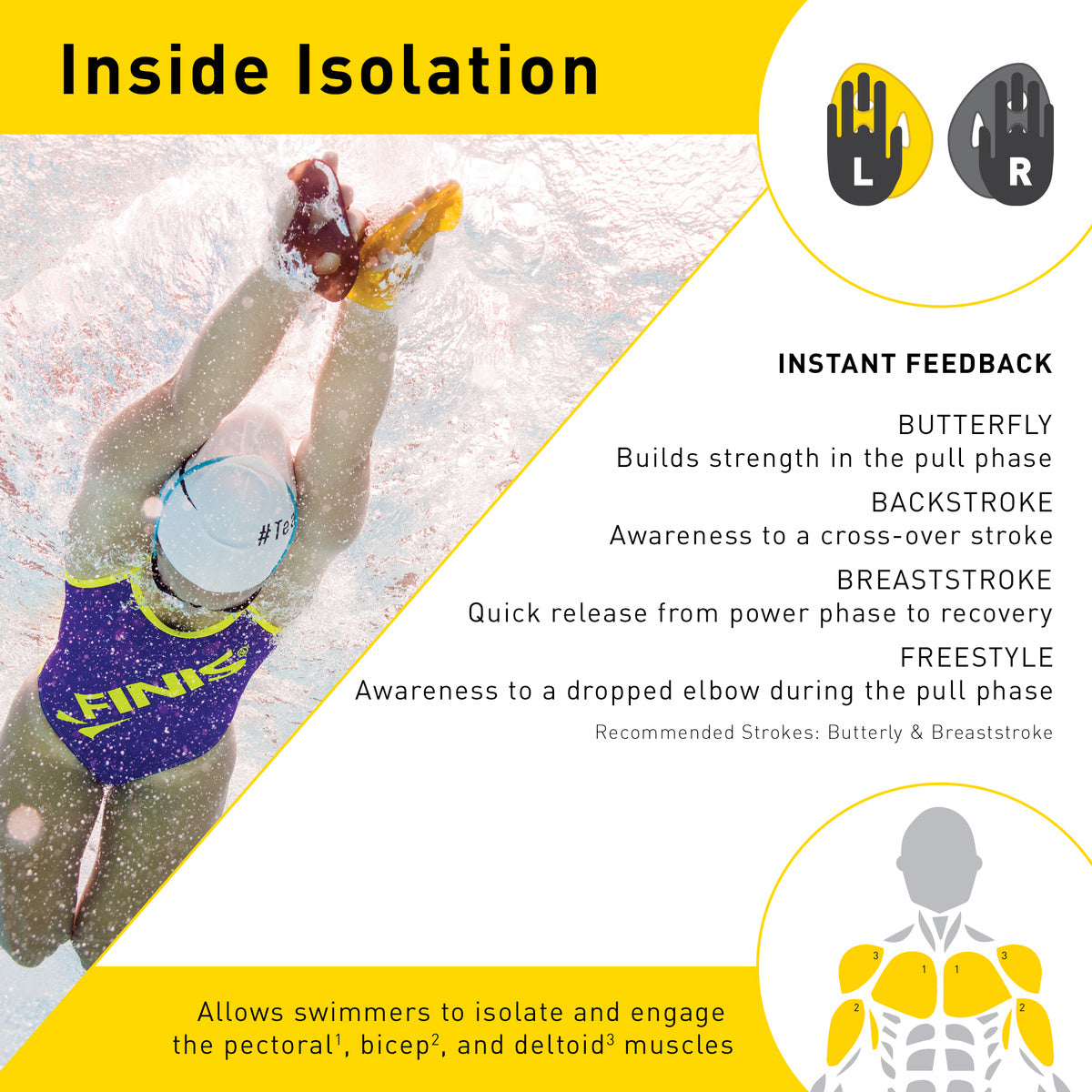 FINIS Iso Paddles inside isolation diagram with swimmer and muscle engagement chart